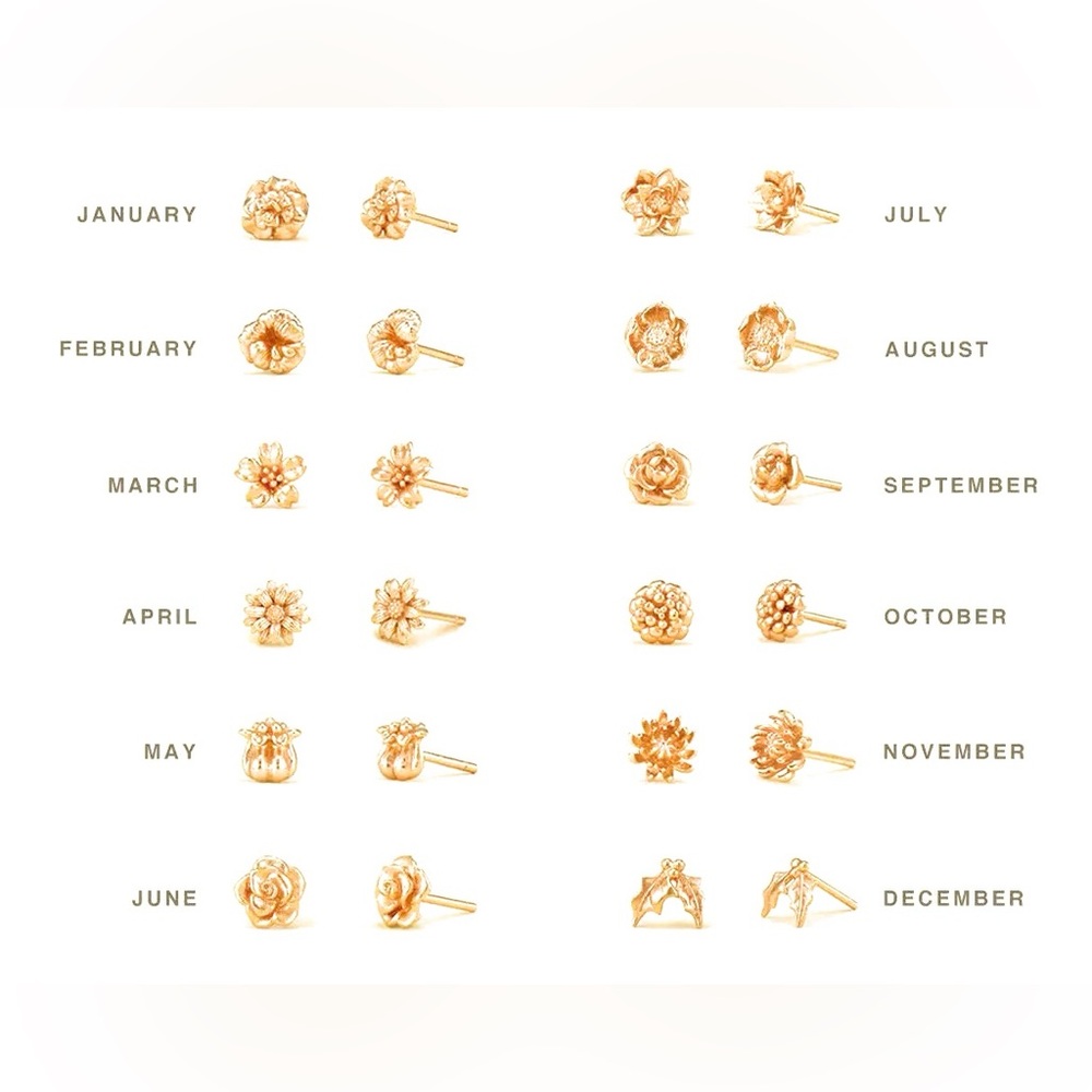 Set of 12 Flower of the Month Studs